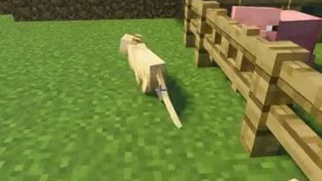 我发布了一个新视频，快来围观吧！