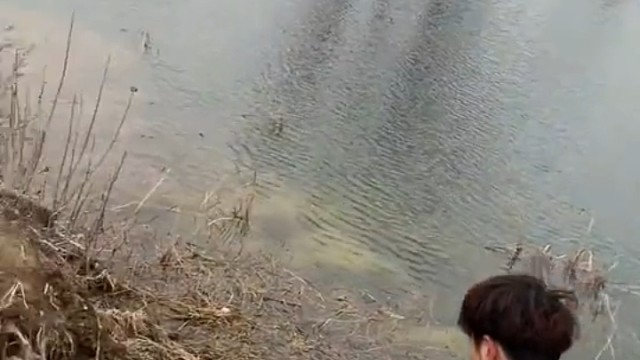 在牛逼中掉进水坑哈哈