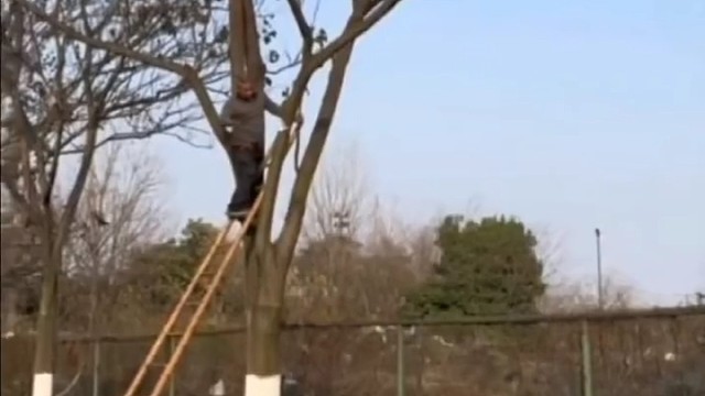 下来的还挺丝滑啊