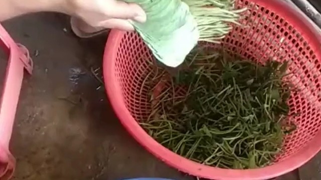 荚篓叶夹薄肉饼油炸，广西南部特色菜