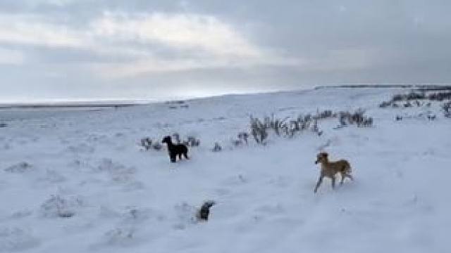 野生动物零距离~