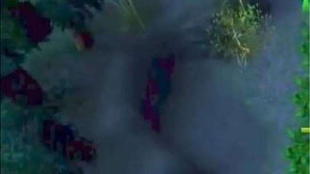 （一）大熊原声大碟，撼地神牛团战定海神针，毁天灭地的大招！