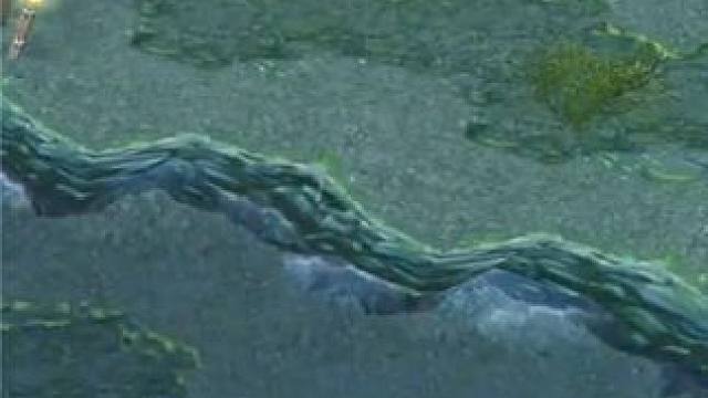 （三）大熊原声大碟，痛苦女王