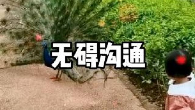 与小动物的无障碍交流，请爱护每个小动物。#人与动物和谐共处 #爱护大自然爱护动物