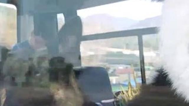 男子摔了一跤，竟能听到动物说话 #动物园先生  #我的观影报告