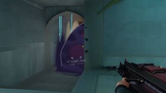 为了五块我可是拼尽了全力 #无畏契约 #看似新手实则天才的瓦技