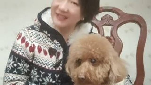 谜语儿歌#我家萌狗