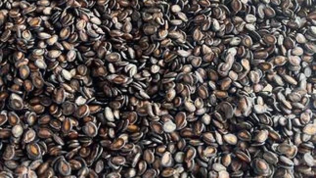 做自己喜欢的事情很快乐， 或许生活并不是让自己每天得到多少，而是每天很充足，这样人生就变成我们自己想