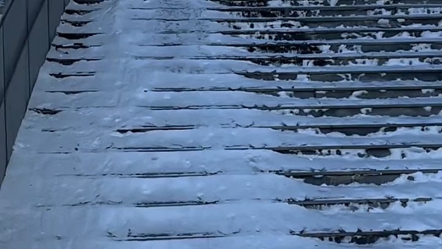 下滑过程还知道捂脸[允悲]