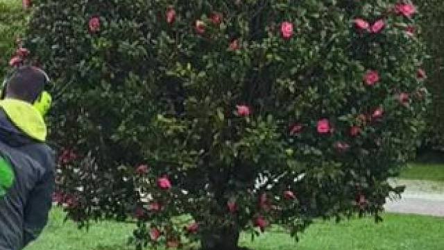 我发布了一个新视频，快来围观吧！