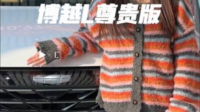 天上下雨地上滑，自己跌倒自己爬！#吉利博越L #4s店那些事 #西物吉利