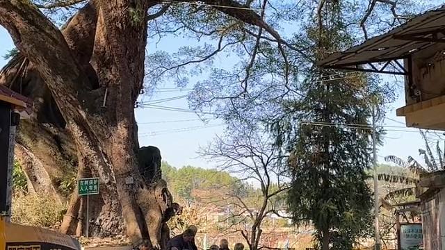 我每次到家都是晚上，天黑透了