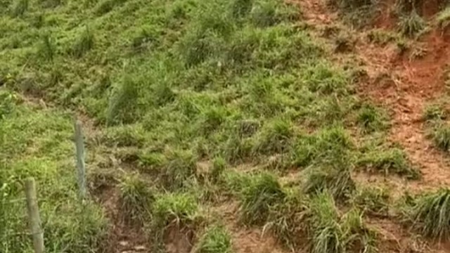 一看就知道，这驴没安装ABS