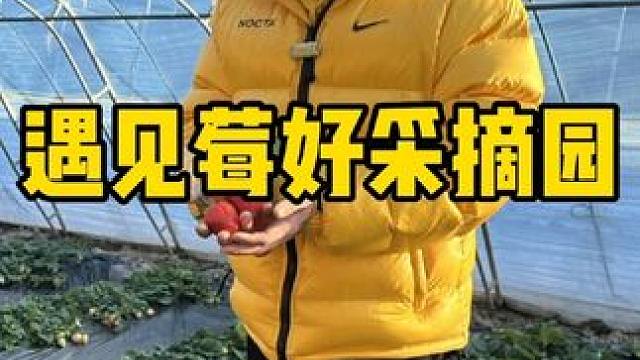 遇见莓好采摘园 #草莓采摘园 #亲子采摘 #摘草莓 #草莓 #草莓季