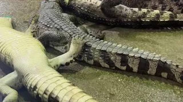 我发布了一个新视频，快来围观吧！