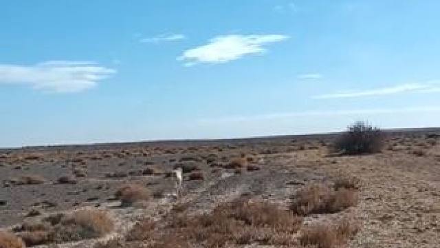 野生动物零距离~