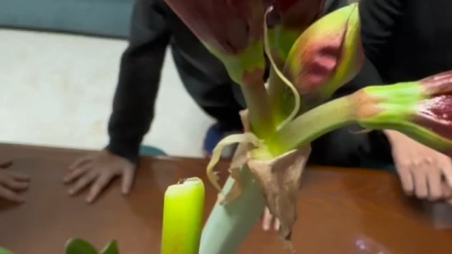 都是家人们，就没必要追究到底是谁了，有人负责就行 ，家庭搞笑