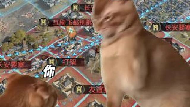 你没去打城时团长是不是这么对你的？#率土之滨 #率土星推计划 #我的游戏故事