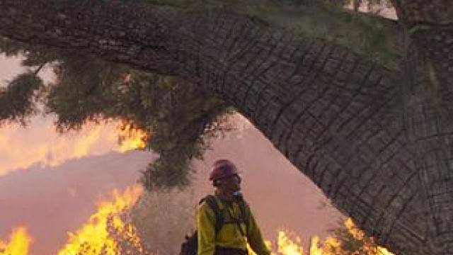 根据真实事件改编，这20位男人看哭全世界#我的观影报告