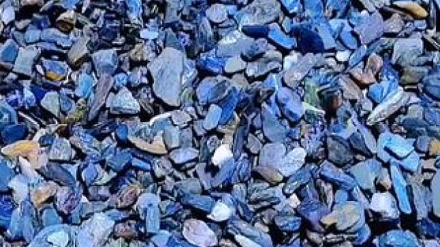 天然溪流石，造好景选择好的溪流石，喜欢的点点关注，然后橱窗逛一逛，万一成了呢！！#玻璃缸中的大自然 