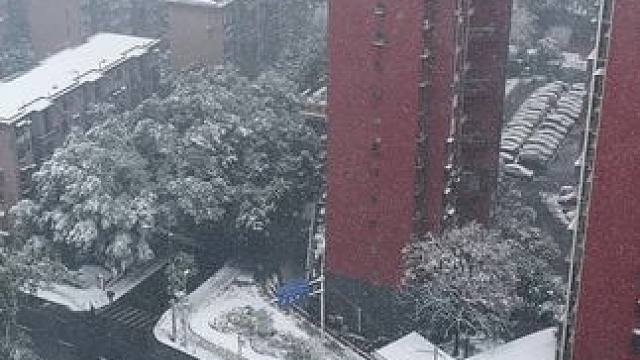 那我期待的是雪哈哈哈哈#2024年的第一场雪 #dota2 #南方的雪 #你的城市下雪了吗