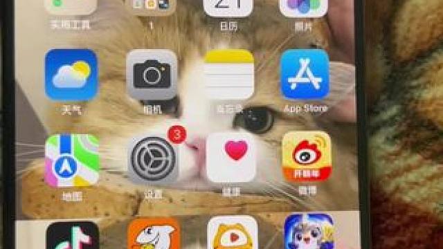 自带电音的手机一枚呀#苹果15