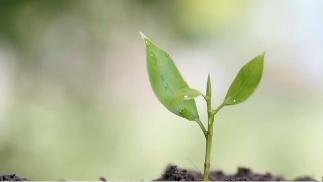 而能够功成名就的往往是万里挑一……