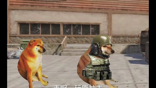 迷上当老鼠怎么办