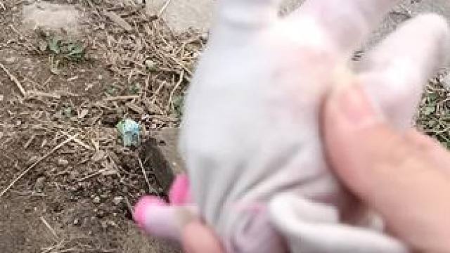 这样打隔夜窝，是不是太没鱼道了？#冬钓鲫鱼 #大板鲫 #日常钓一钓 #打窝 #隔夜窝