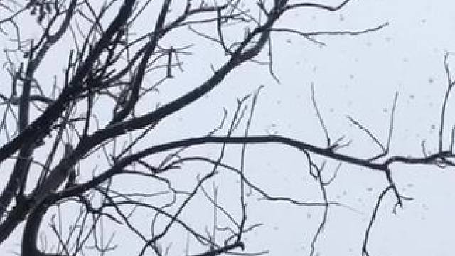 来看一哈南方的雪～ 
#梦幻西游樱桃派对