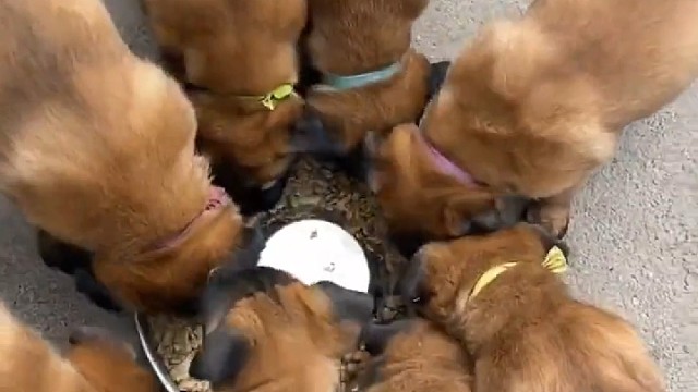 这形式，老母亲也遭不住啊