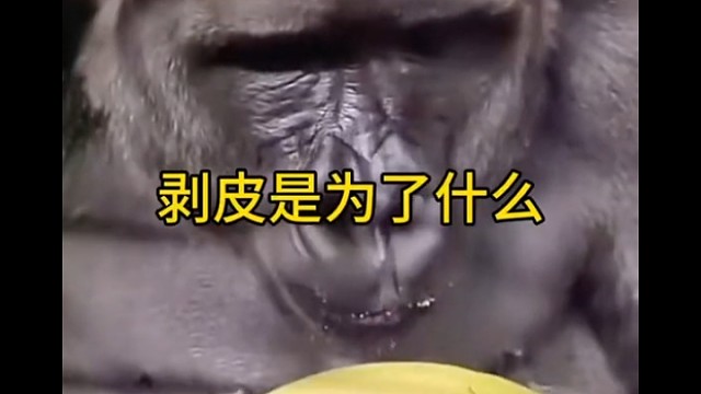 前面是生活，后面是生存