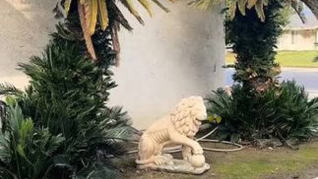 我发布了一个新视频，快来围观吧！