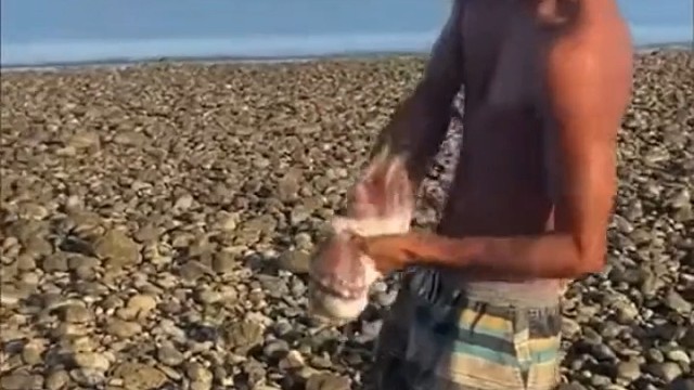 这章鱼要是在水下粘脸上就无解了