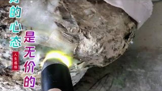 我发布了一个新视频，快来围观吧！