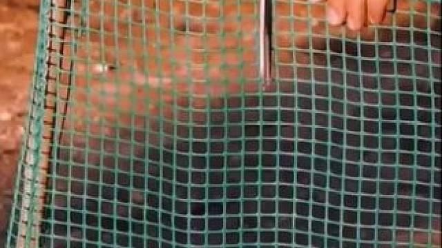 #生活小技巧 #学会快去试试吧 #小妙招大作用 #实用小技巧 #好物推荐