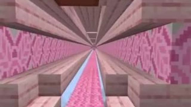 #Minecraft #我的世界