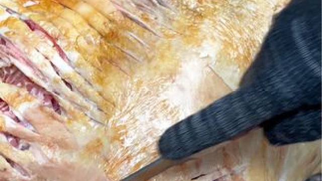 一个电话小狄随叫随到#真材实料才能做出好味道 #同城美食 #团建 #烧烤 #烤全羊