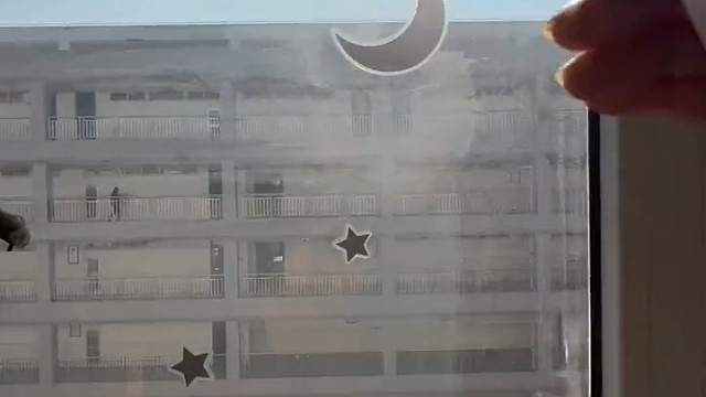 我爱你老妈