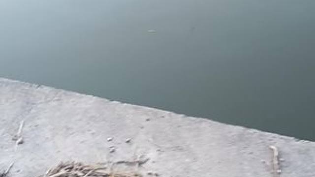 这是可以重复使用了吗？#冬钓鲫鱼 #大板鲫 #日常钓一钓 #打窝 #钓鱼的乐趣只有钓鱼人懂