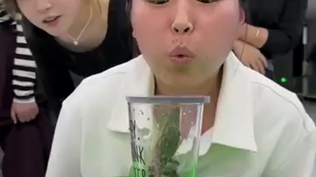 小鳄鱼：这帮猴子在干啥？