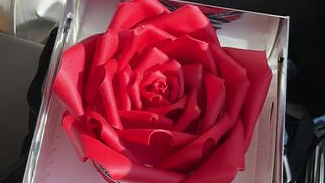 热情炽烈的红玫瑰 赠予心口的那颗朱砂痣#巧克力玫瑰花