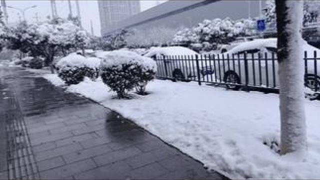 #阴阳师 #痒痒鼠 #南方的雪 没有你的冬天格外寒冷