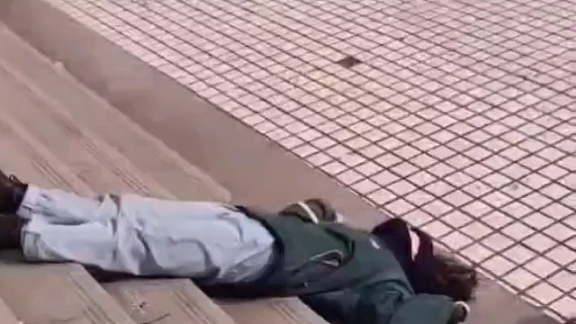 犯困叫不醒发胖