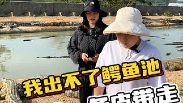 先生我出不了神山你带只格桑花走吧。番外反转篇#先生我出不了神山 #鳄鱼 #鳄珍 #鳄鱼与牙签鸟皮带