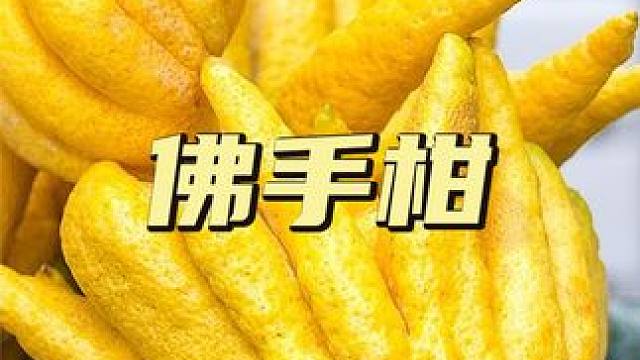 一种长得像手的水果，在国外可以卖3倍价格，它到底有什么魅力？ #佛手柑 #涨见识 #科技 #科普 