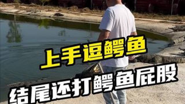 真正的上手逗鳄鱼，拉鳄鱼尾巴拍鳄鱼屁股 #别划走 #记录真实生活