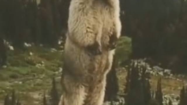 好家伙！今晚噩梦素材有了