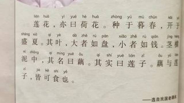 《莲》小古文第16课#小古文 #每天学习一点点 #国学文化 #朗诵 #读书