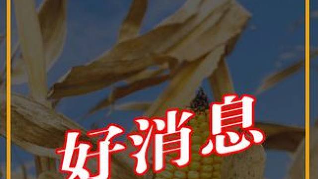 全心全意为人民服务，我们的粮食更安全了，家家有余粮了！#全心全意为人民服务 #懂的人自然能听懂